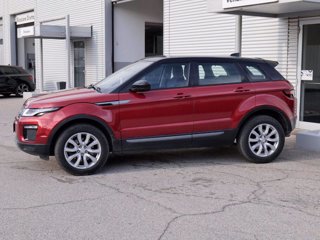 LAND ROVER Range Rover Evoque 2.0 Td4 150cv 5p Pure