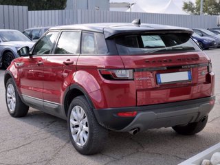 LAND ROVER Range Rover Evoque 2.0 Td4 150cv 5p Pure